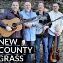 New County Grass